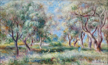 Die Olivenbäume von Cagnes